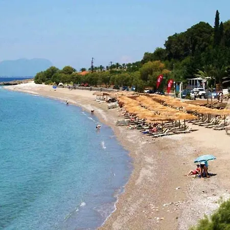 Enjoy The Garden Next To The Beach *